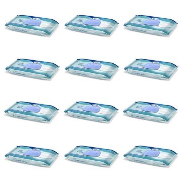 TENA Proskin Wet Wipes - Bulk Saver - 12 Packs of 48