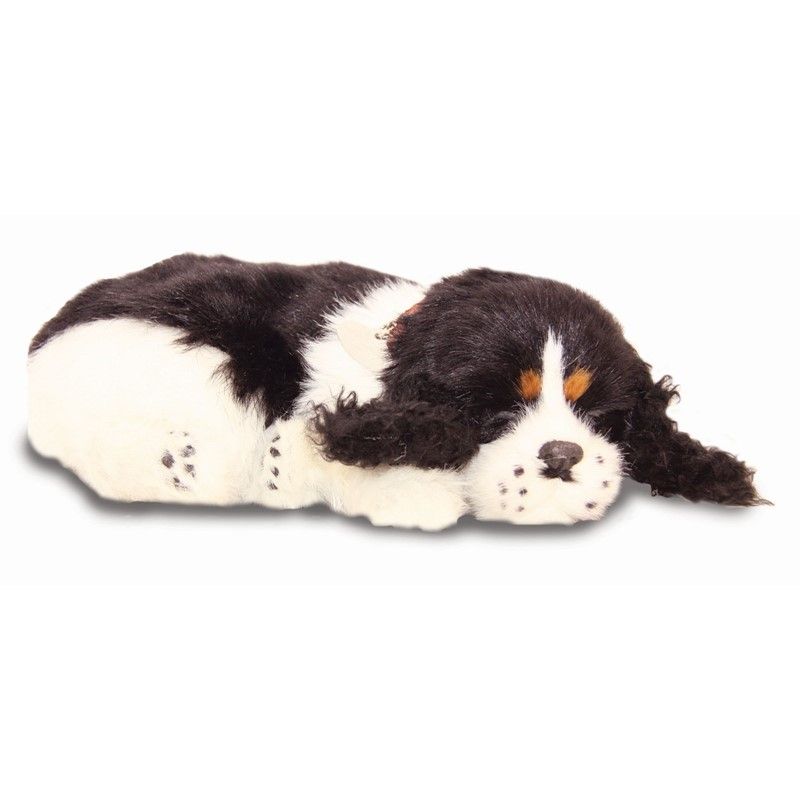 Spaniel\u0020Therapy\u0020Pet